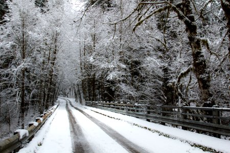 Yukwah recreation area, Oregon photo