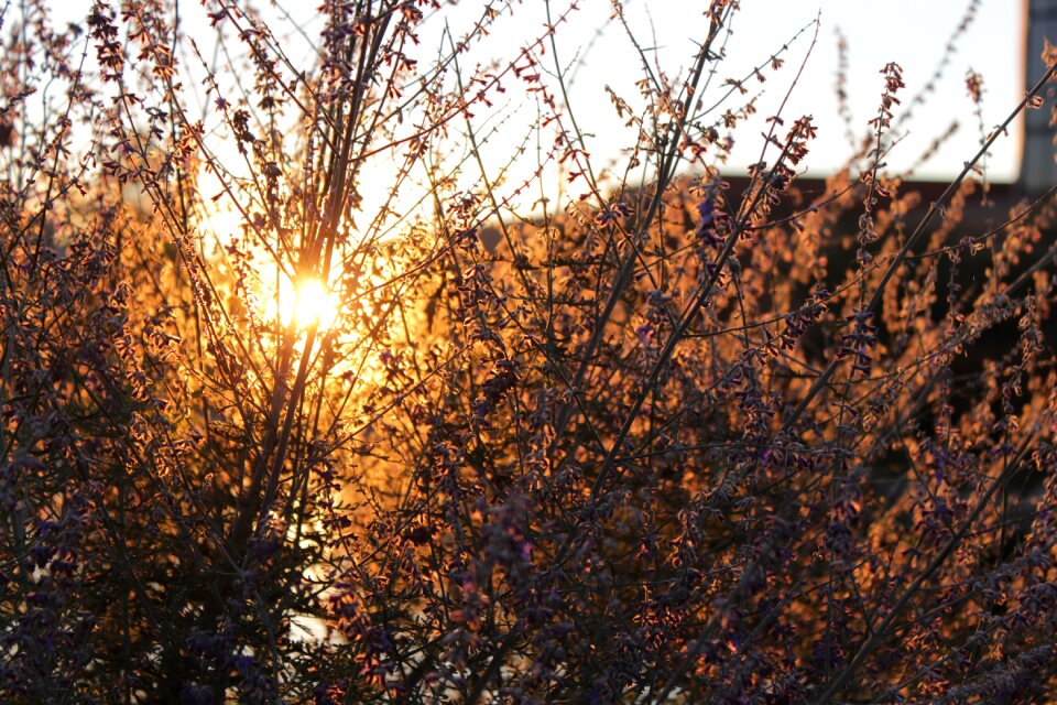 Nature landscape sunlight