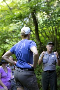 Water Quality Testing Activity