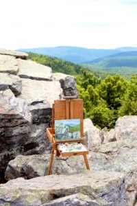 Artist-in-Residence - Summer 2017