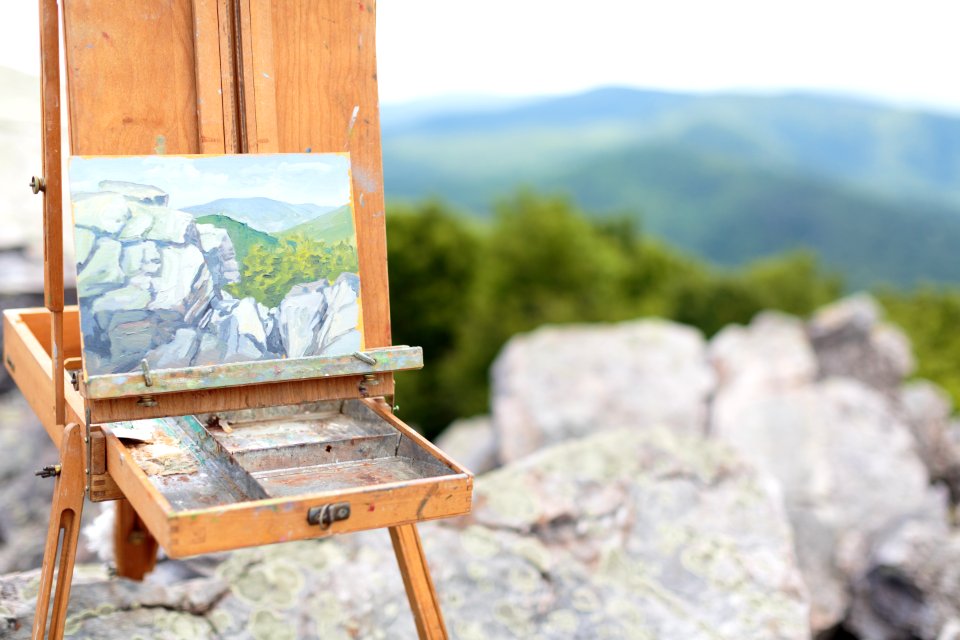 Artist-in-Residence - Summer 2017