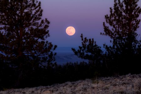 Pink moon, Pine Mountain Observatory, Oregon photo