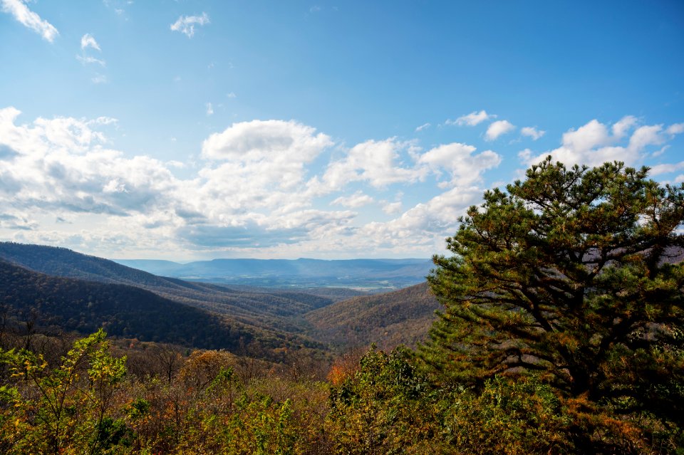 The View from Jeremys Run Overlook