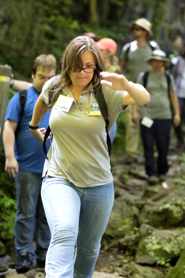Water Quality Testing Activity
