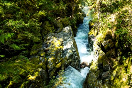Opal Creek, Oregon