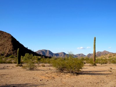 Sonoran Desert NM in AZ