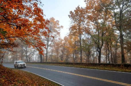 Foggy Fall Scene Along the Drive photo