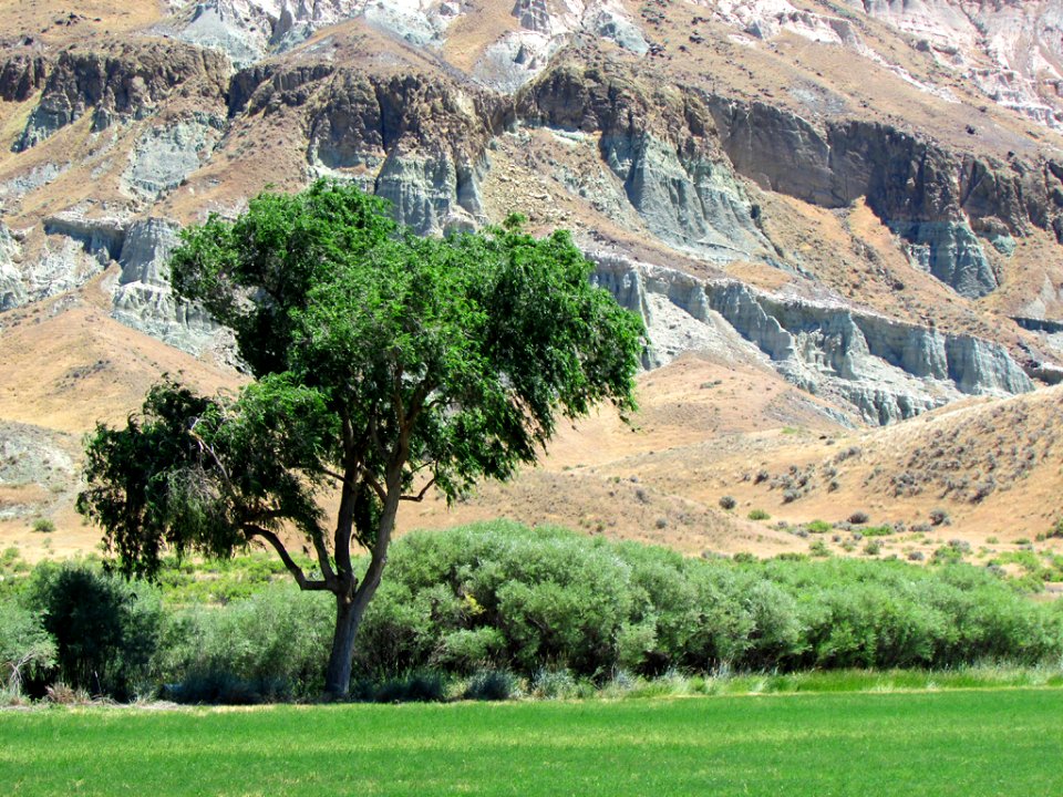 Sheep Rock Unit at John Day Fossil Beds NM in Oregon
