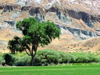 Sheep Rock Unit at John Day Fossil Beds NM in Oregon photo