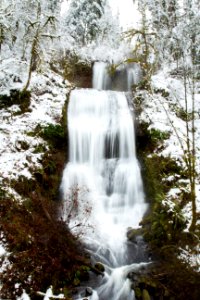 Royal Terrace Falls in snow, Oregon photo