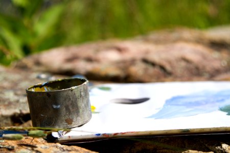 Artist-in-Residence - Summer 2017