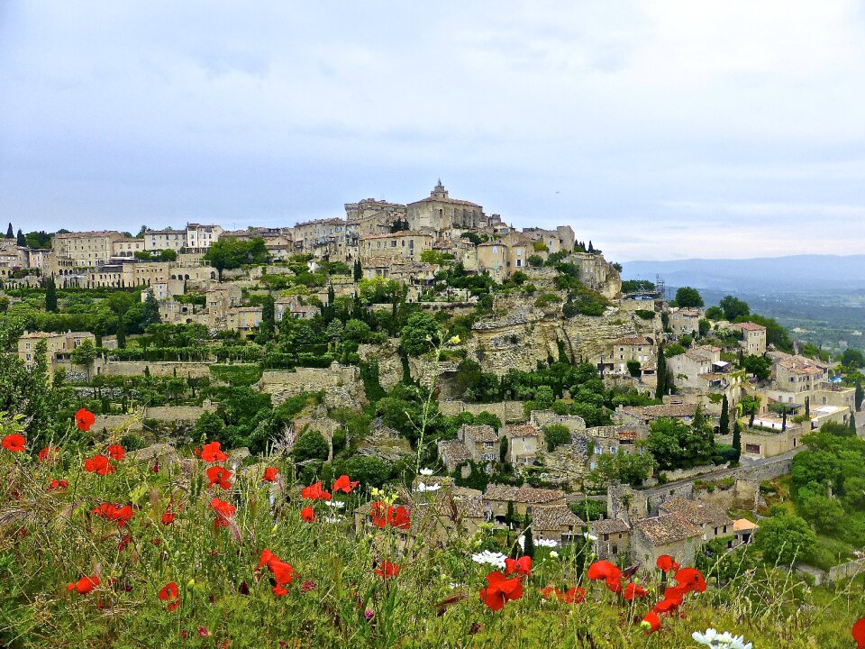 Blooming provence france
