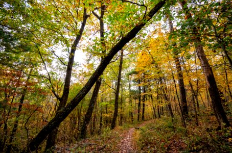 Hull School Trail in the Fall