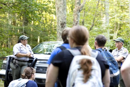 Water Quality in Shenandoah