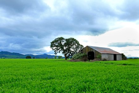 Old barn, stormy skies, green field, Oregon photo