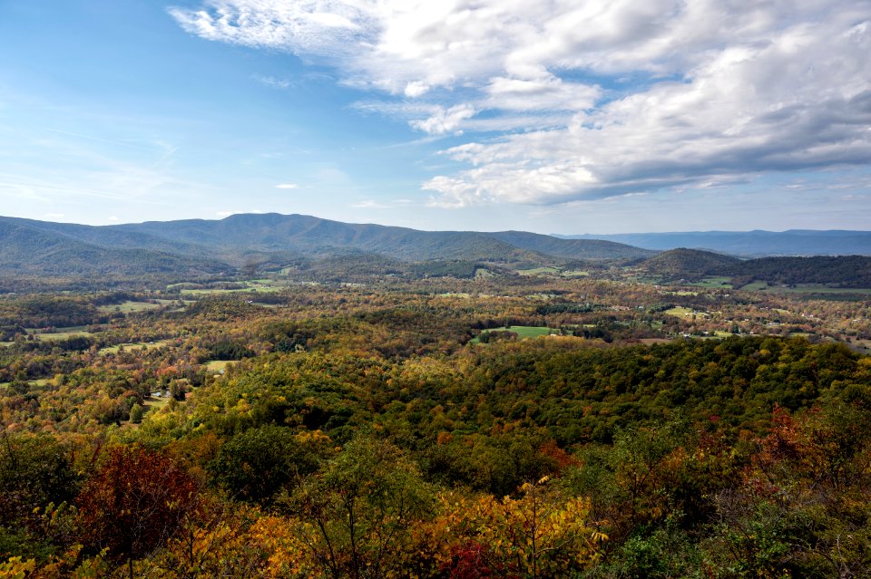 Fall Colors from Gooney Manor Overlook photo