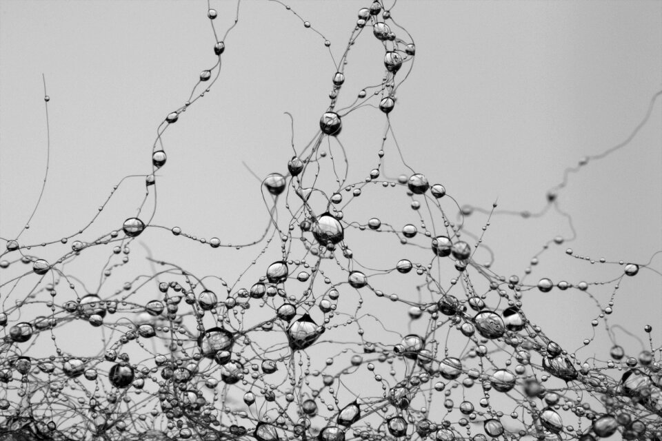 Pearl gray raindrop