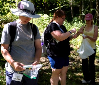 Water Quality Testing Activity