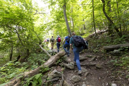 Hiking Lewis Falls