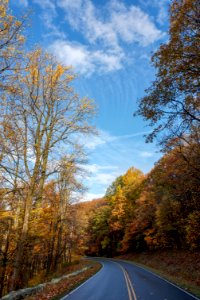 The Beauty of Fall on Skyline Drive photo