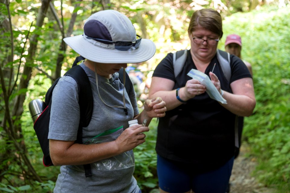 Water Quality Testing Activity