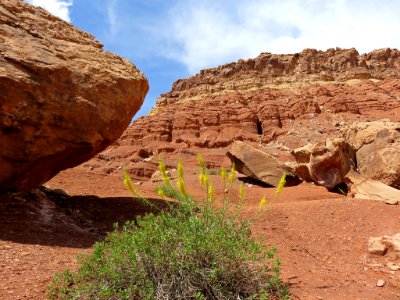 Navajo Land in AZ photo