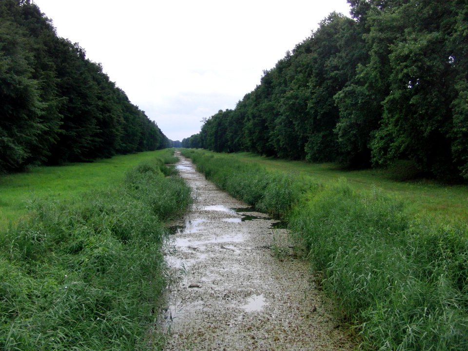 Fluss