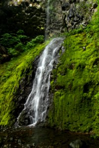 Cabin Creek Falls, Oregon photo