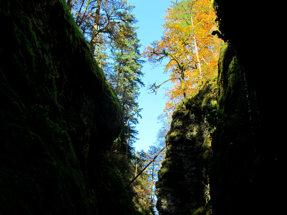Oneonta Gorge at Columbia River Gorge in OR