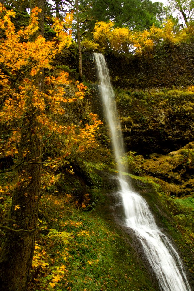 Winter Falls, Silver Falls State Park, Oregon