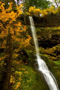 Winter Falls, Silver Falls State Park, Oregon