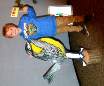 Celebrating the Kirtland's Warbler
