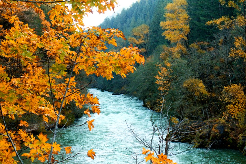 North Santiam River, Oregon