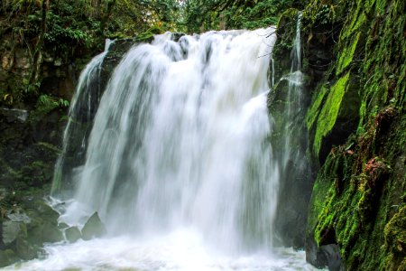 Majestic Falls , Waterfalls, Oregon photo