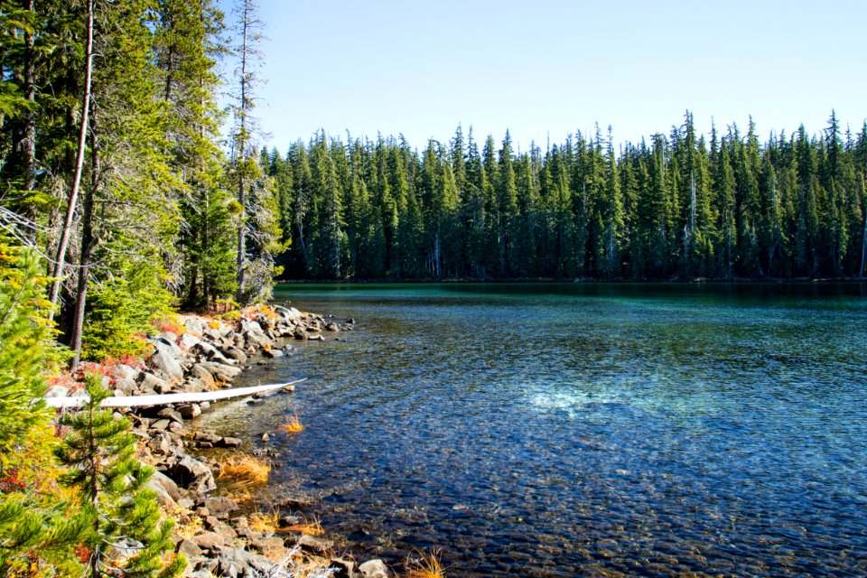 Shadow Bay, Waldo Lake, Oregon