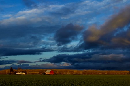 Winter sunset on farmland in the Willamette Valley photo