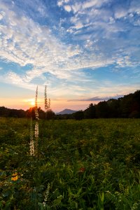 Sunrise - Old Rag Overlook
