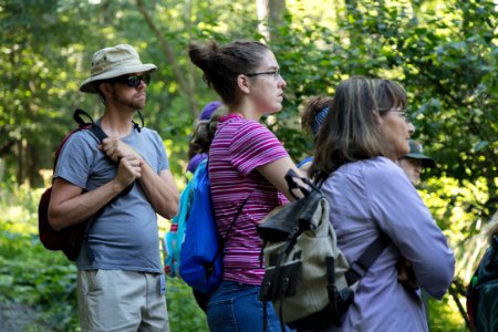 Water Quality in Shenandoah