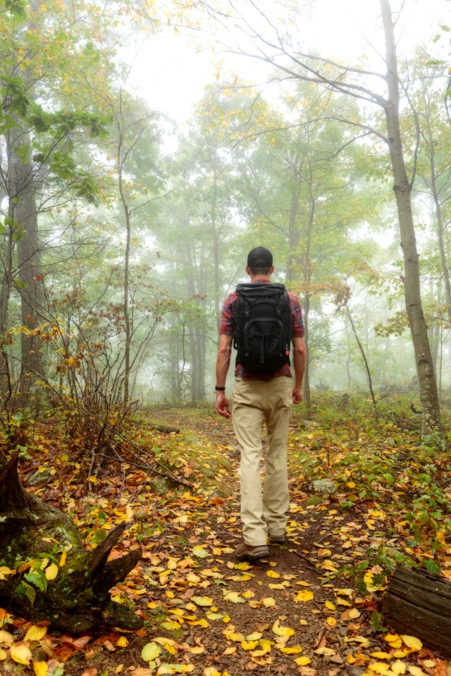 Early Fall - Compton Gap Trail