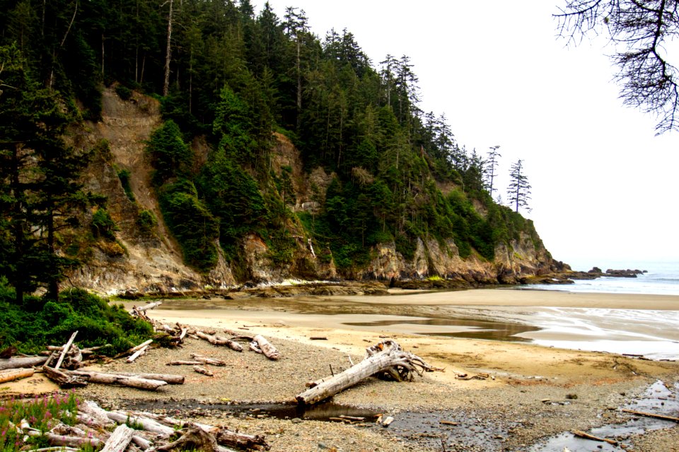 Short Sand Beach, Oregon