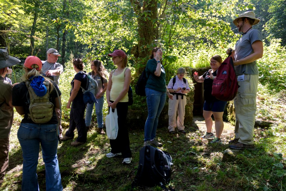Water Quality Testing Activity