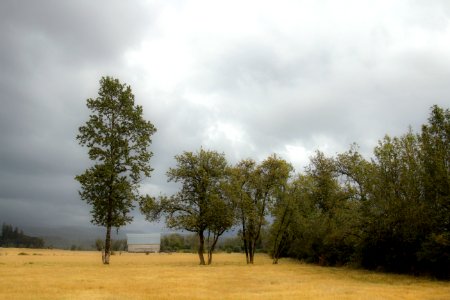 Misty rain and barn, Willamette Valley Oregon photo