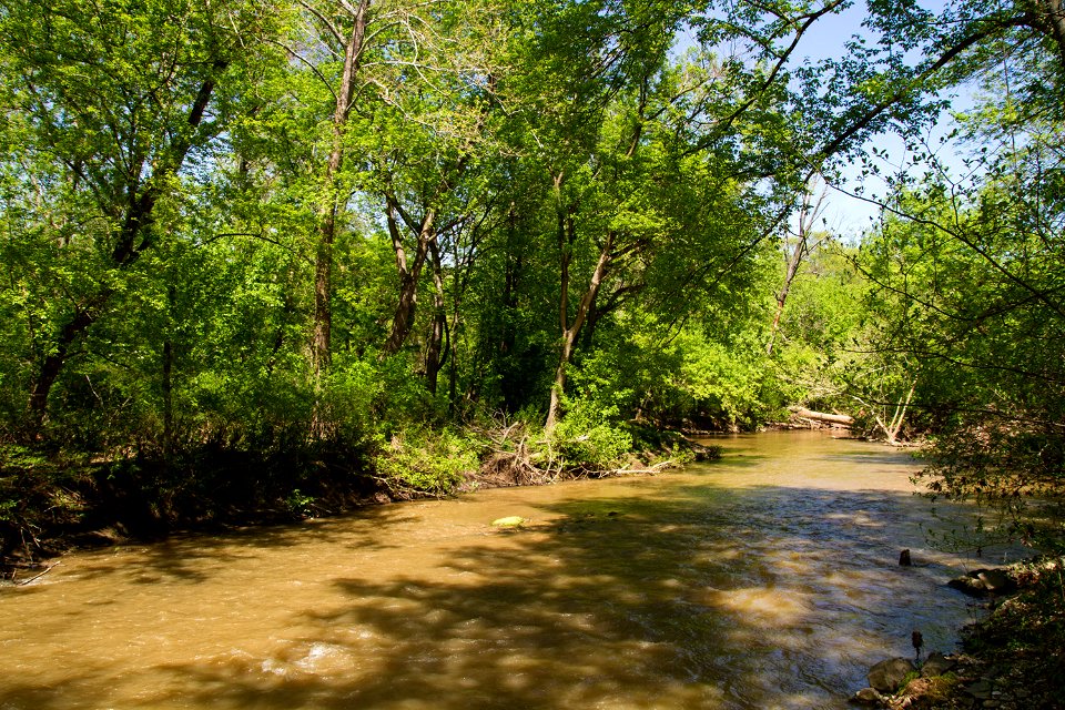 Rock Creek in spring