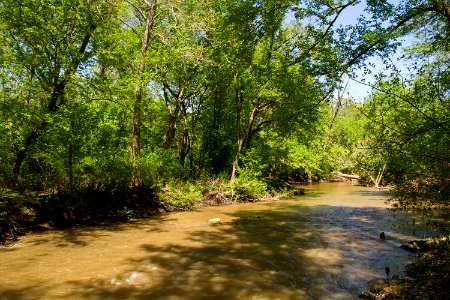 Rock Creek in spring