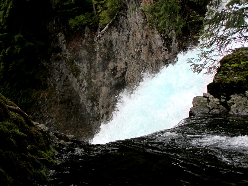 Waterfall at McKenzie River Trail in Central OR