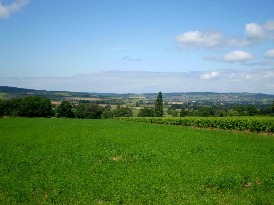 Fields between Taizé and Ameugny