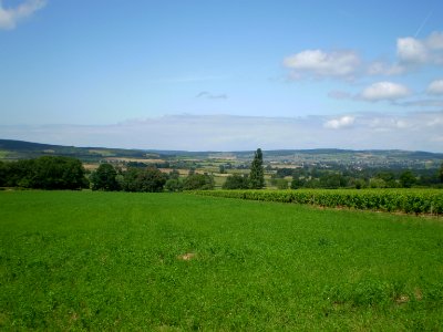 Fields between Taizé and Ameugny photo