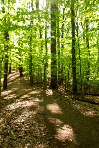 White Horse Trail photo