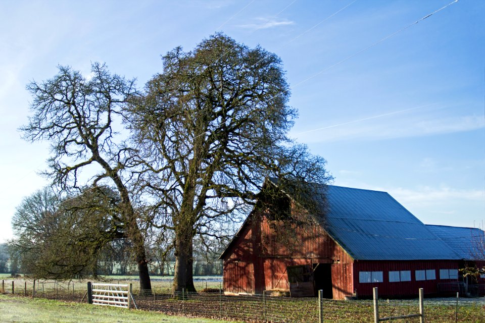 Old barn in December.