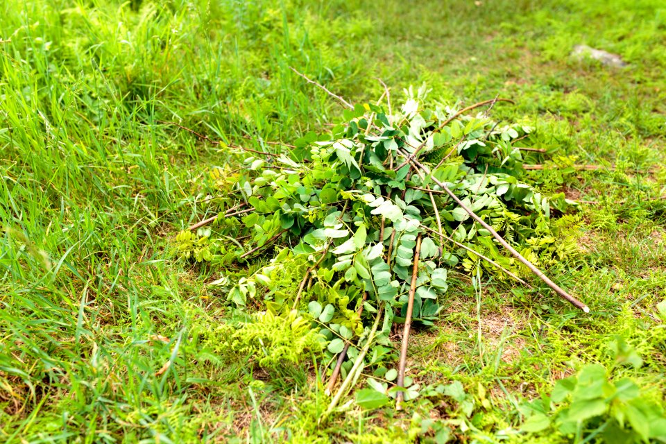 Groundwork RVA's Green Team